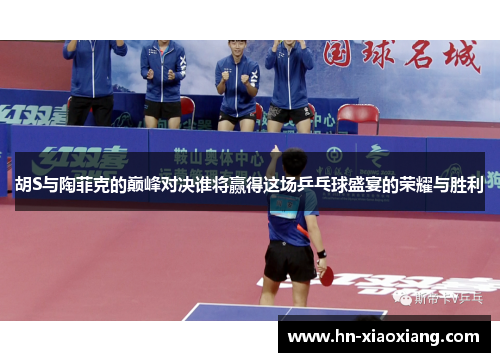 胡S与陶菲克的巅峰对决谁将赢得这场乒乓球盛宴的荣耀与胜利