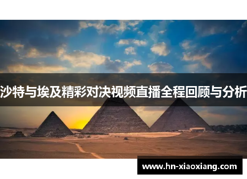 沙特与埃及精彩对决视频直播全程回顾与分析